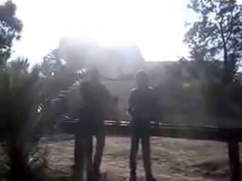 الأطفال يركبون وحيد القرن في حديقة الحيوان