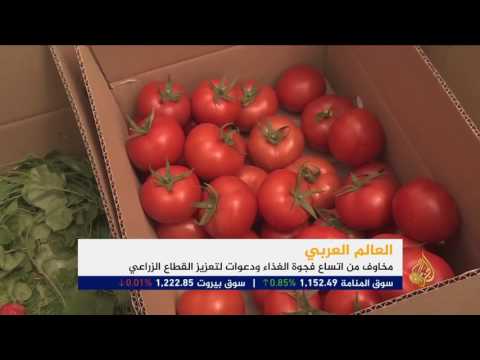 بالفيديو مخاوف من اتساع فجوة الغذاء في العالم العربي