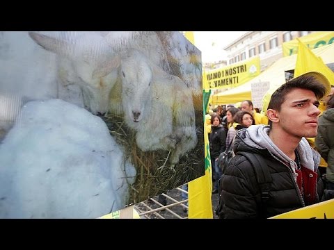 شاهد المزارعون الإيطاليون يحتجون ضد البيروقراطية