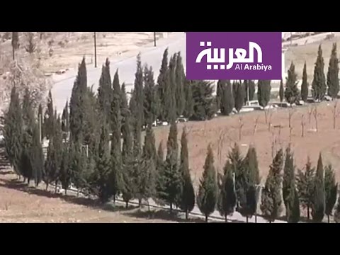 بالفيديو عراقيون في السليمانية يطلقون حملة لزراعة أشجار