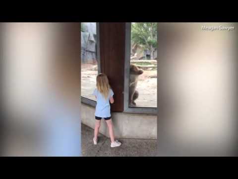 شاهد دب يلهو مع طفلة في حديقة حيوان أميركية