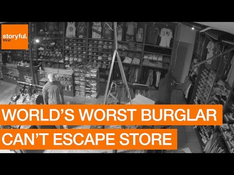 شاهد أسوأ لص في العالم يختبئ على طريقة الفيل ولا يسرق شيئًا