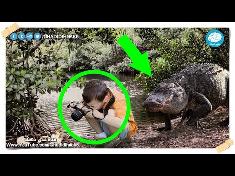 شاهد لحظات قبل الكارثة انتهت بالموت أو الإصابة بالشلل