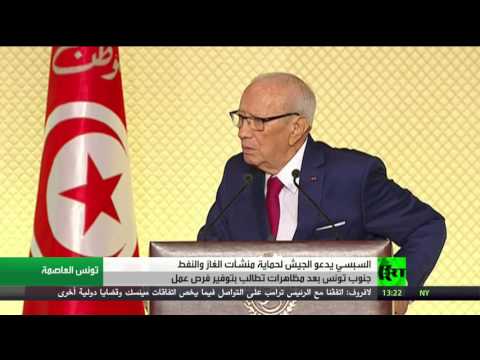 شاهد الرئيس السبسي يدعو الجيش لحماية المنشآت الحيوية