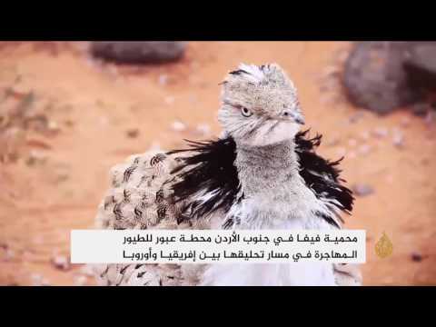 محمية فيفا الأردنية أخفض أرض رطبة في العالم