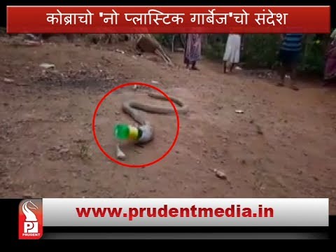 شاهد ثعبان يتقيأ زجاجة بلاستيكية