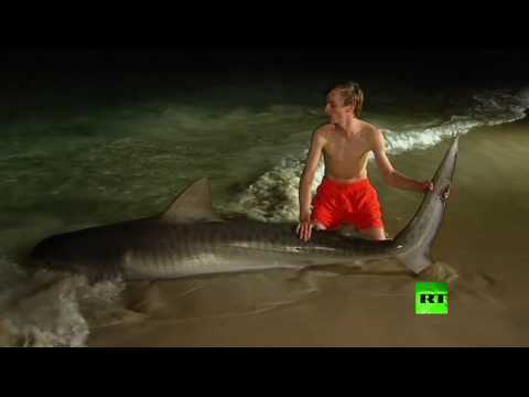 شاهد شاب أسترالي في الـ15 من عمره يحطم رقمًا قياسيًا في صيد أسماك القرش