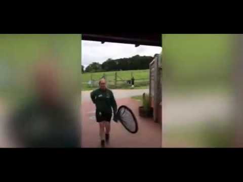 لحظة هروب قرد من حديقة حيوان وسط زوارها