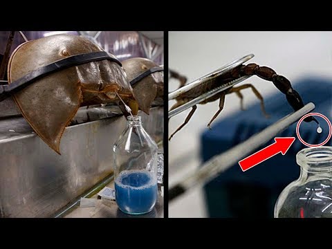 أغلى عشرة سوائل في العالم