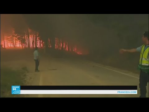 صور وشهادات لناجين من حريق هائل