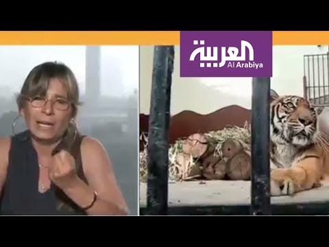 شاهد ناشطون يطالبون بتحسين أحوال حديقة الجيزة