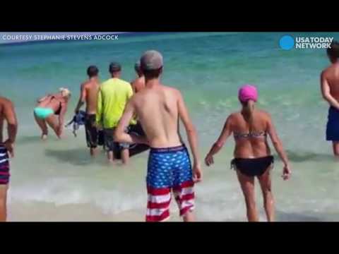 لحظة ظهور أسماك قرش على أحد الشواطئ الأميركية