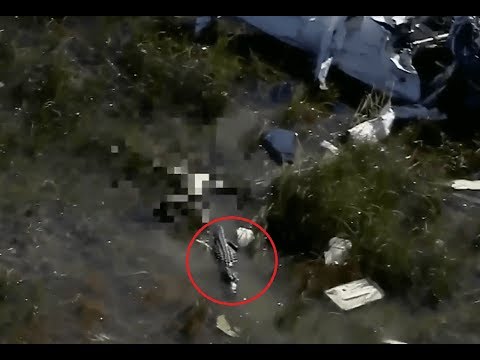 لقطات مروعة لتمساح يلتهم جثة ضحية تحطم طائرة