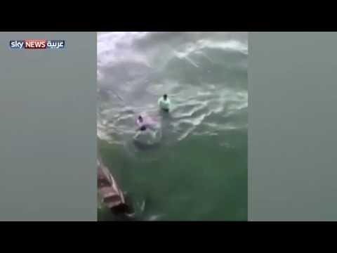 بالفيديو  سمكة قرش تباغت متطفلاً بعضة دامية