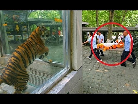 19 صورة سخيفة التقطت في الوقت المناسب