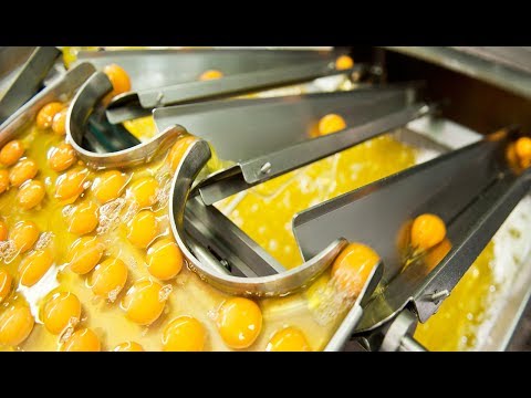 ألة تكسير البيض داخل المصانع