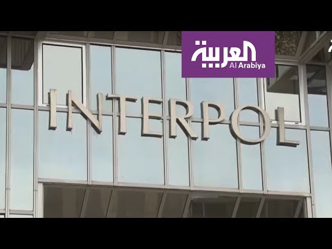 الانتربول يعمم أسماء 173 شخصًا منتمين إلى داعش