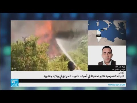 مدى خطورة استمرار الحرائق في تونس