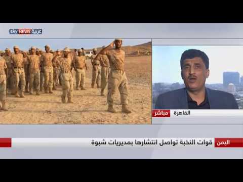 شاهد خبير عسكري يؤكد أن خلايا القاعدة في اليمن بدأت تنشط
