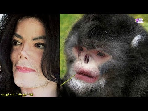 شاهد أغرب 5 أجساد حيوانات تعيش على كوكب الأرض