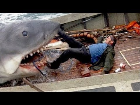 شاهد أشرس 5 حيوانات هجمت البشر وتم إنقاذهم بأعجوبة