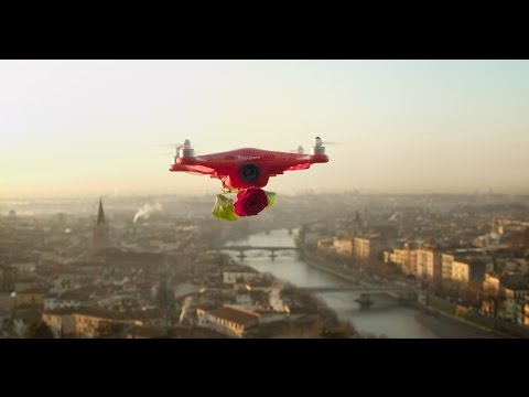 طائرة تطوف الشوارع لتلقي الورود على العشاق