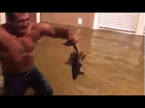 شاهد أميركي يصطاد سمكة من داخل منزله الغارق بمياه الفيضانات