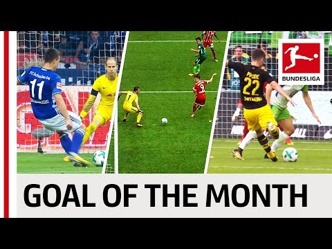 شاهد أبرز 10 أهداف خلال شهر آب في الدوري الألماني