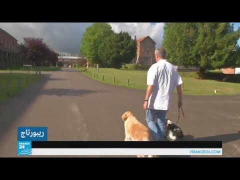 شاهد علاج الأمراض النفسية بواسطة الكلاب