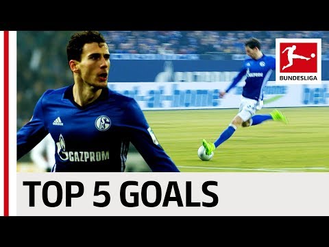 أبرز 5 أهداف لنجم شالكة الألماني في البوندزليغا