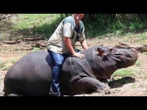 10 حيوانات أليفة قامت بافتراس أصحابها