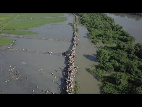 شاهد أمواج بشرية من الروهينغا تواصل النزوح من بورما