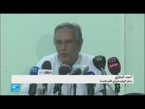 بالفيديو  ممثل البوليساريو يعلق على زيارة المبعوث الأممي للمغرب