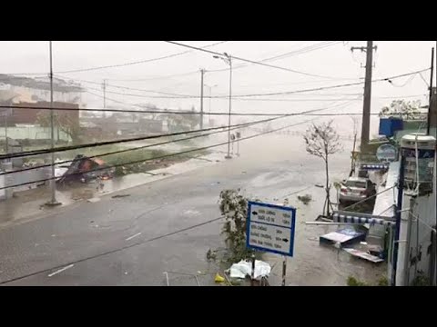 ارتفاع عدد ضحايا عاصفة دامري في فيتنام إلى 49 ضحية