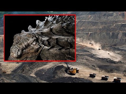 ديناصور متحجر هائل الحجم تم العثور عليه من قبل عمال المناجم