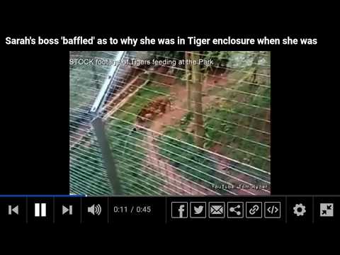 لحظة مهاجمة نمر على حارسة حديقة حيوان روسية