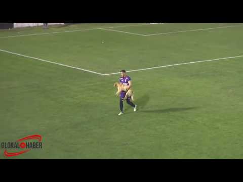 كلب يقتحم مباراة في الأرجنتين ويعرقل أحد اللاعبين