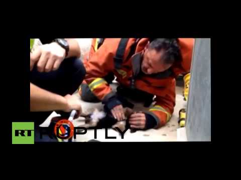 رجال الإطفاء ينقذون حياة جروين صغيرين
