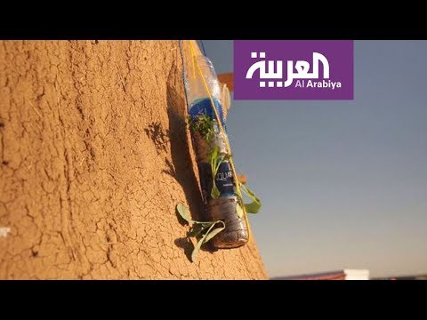 حدائق معلقة من قوارير بلاستيكية