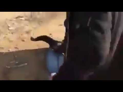 شاهد لحظة استشهاد المصري في مظاهرات نصرة القدس