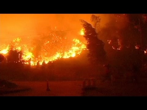 الحرائق تأتي على أكثر من 1600 هكتار من الغابات في شيلي