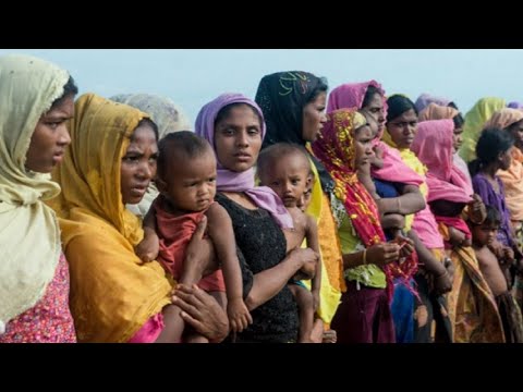 شاهد مقتل6700 شخص خلال الشهر الأول