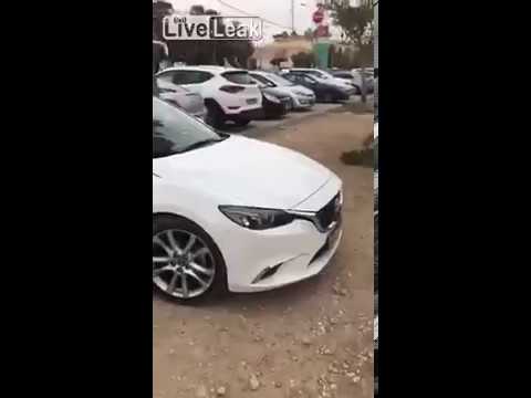 ماعز يعتلي سيارة للوصول إلى فروع شجرة منبتة