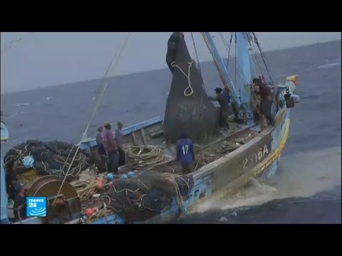 شاهد استغلال المهاجرين للعمل في قطاع الصيد البحري