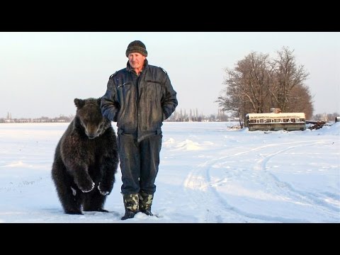 روسي يُربي دب ضخم ويعتبره حيوانًا أليفًا