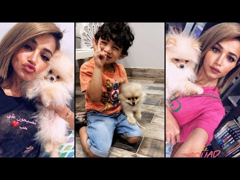 نهى نبيل تكشف عن زوجة لكلبها