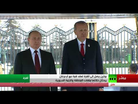 أردوغان يستقبل بوتين في القصر الرئاسي في أنقرة