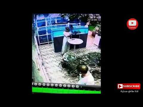 شاهد لص يسرق ببغانًا من متجر للطيور