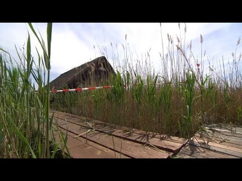 شاهد العثور على جثة امرأة مُقطعة الأطراف في قاع بحيرة وثلاجة