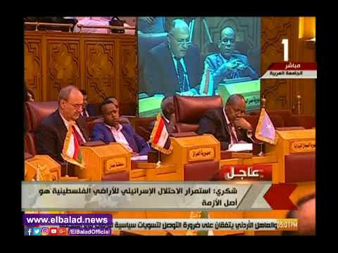 شاهد  وزير الخارجية المصري يؤكّد أن قتل الفلسطينيين يتحمل مسؤوليته المجتمع الدولي